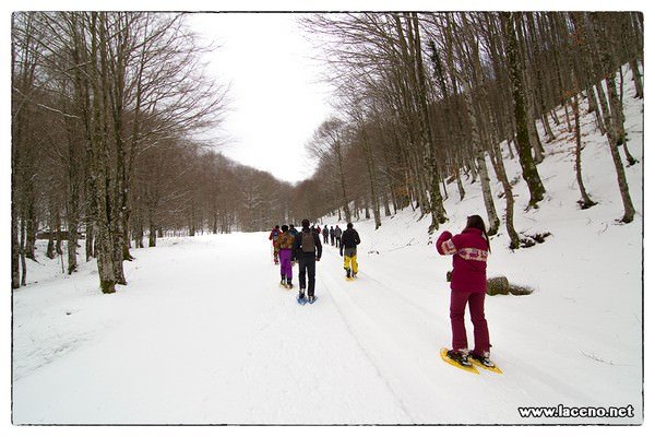 ciaspolata-lago-laceno-27-gennaio-2013 (4)