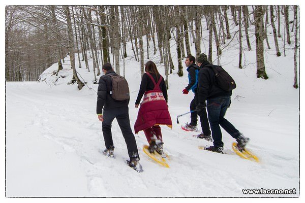 ciaspolata-lago-laceno-27-gennaio-2013 (5)