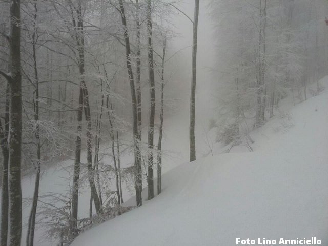 Uno scatto dalle piste: nevicata in corso e accumuli abbondanti
