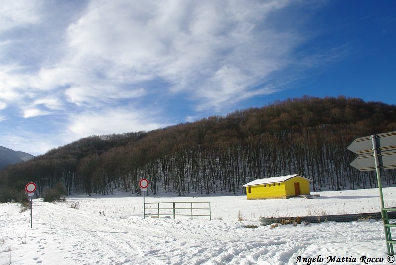 Previsione per il 31 Gennaio 2013