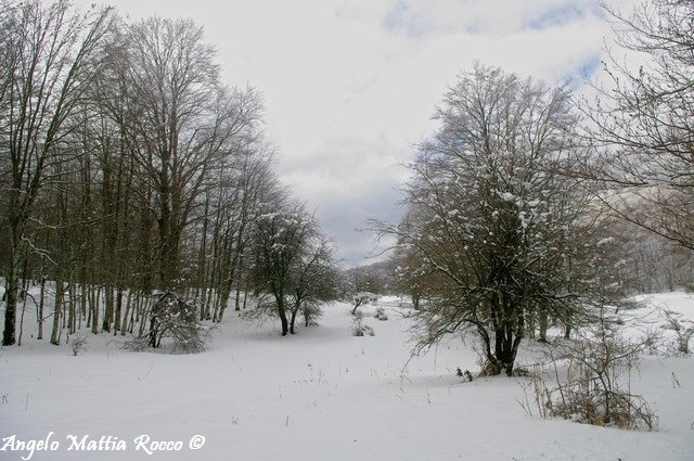 Previsione per il 24 Febbraio 2013