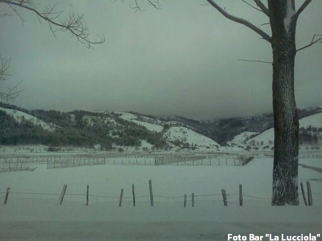 neve-laceno-18-gennaio-2013 (4)