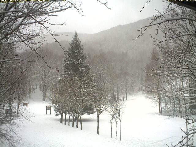 webcam-18-gennaio-2013-laceno (2)