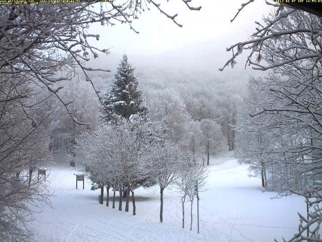 1100-lago-laceno-2013