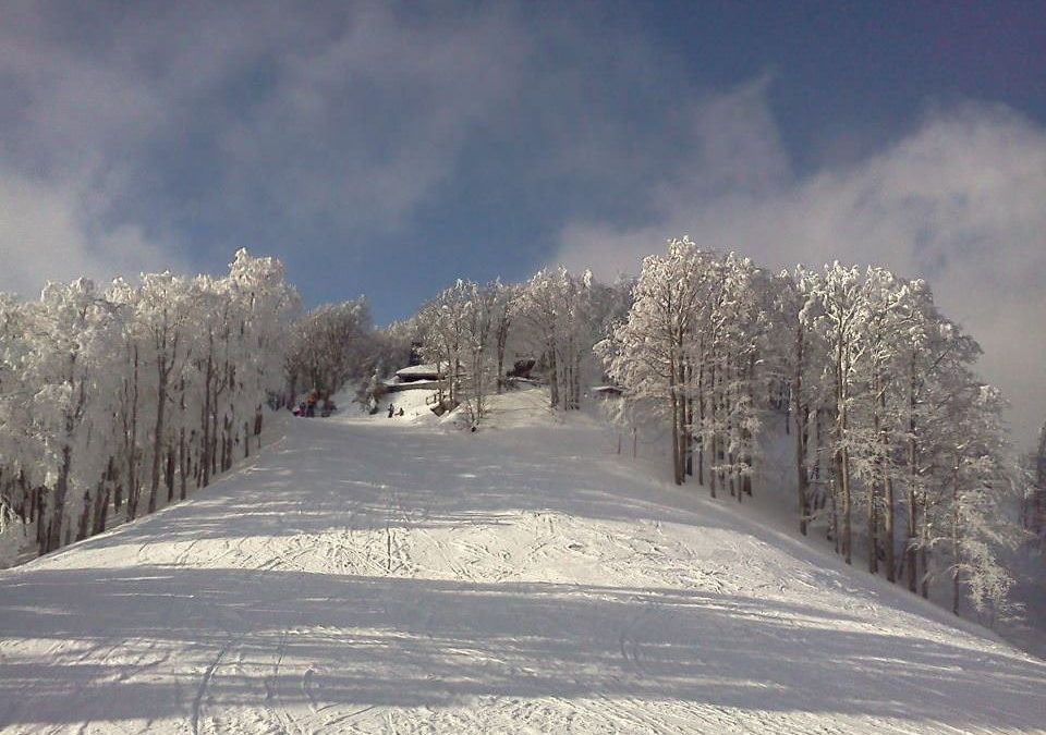 Bollettino neve: situazione sciabilità