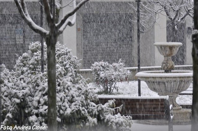 Previsione per il 7 Febbraio 2013