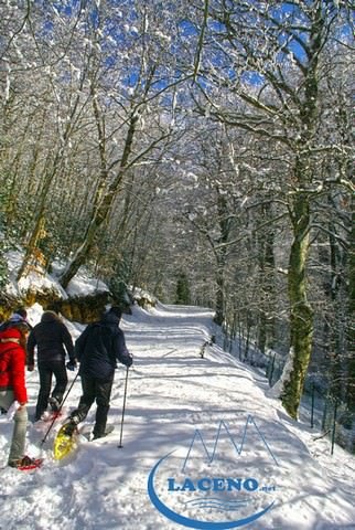 ciaspolata-al-lago-laceno-17-febbraio-201300002