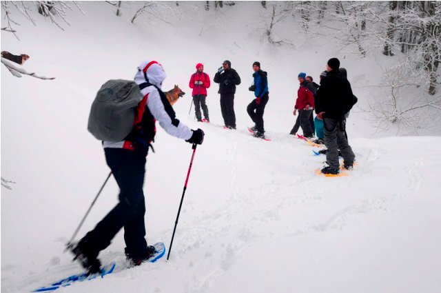 La ciaspolata del 24 Febbraio 2013: lo sguardo dell’escursionista