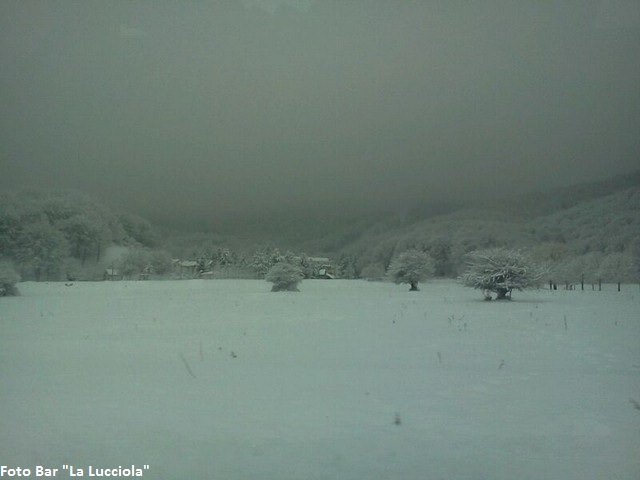 Previsione per il 23 Febbraio 2013