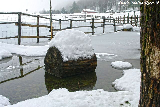 laceno-febbraio-201300009