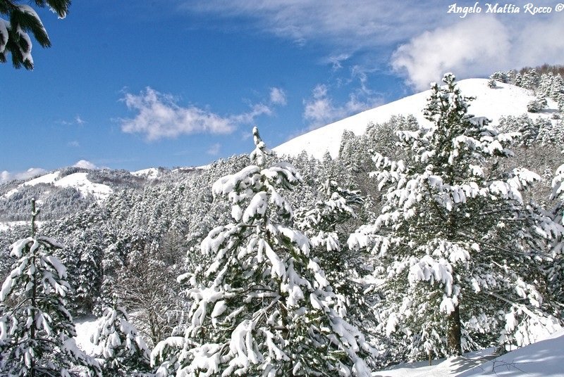 Servizio fotografico: Laceno da sogno tra neve, sole e cielo azzurro 10-02-2013