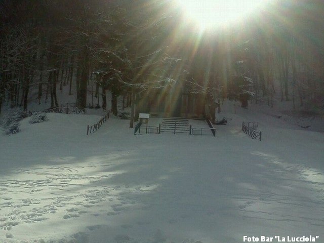 Previsione per il 16 Febbraio 2013