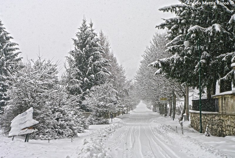 Servizio fotografico: la nevicata del 9 Febbraio 2013 a Laceno