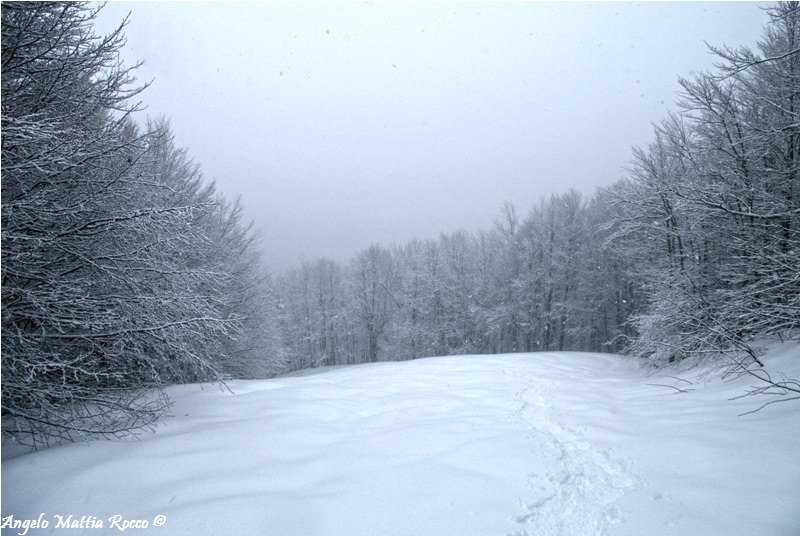 Previsione per il 25 Febbraio 2013
