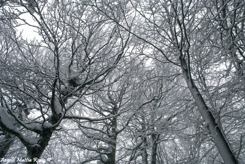 Previsione per il 27 Febbraio 2013