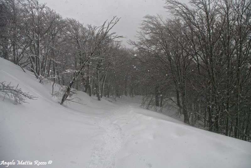 Previsione per il 26 Febbraio 2013