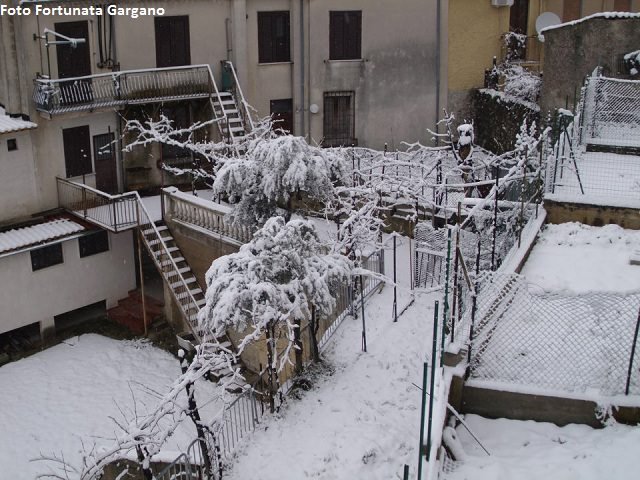 Previsione per il 15 Febbraio 2013