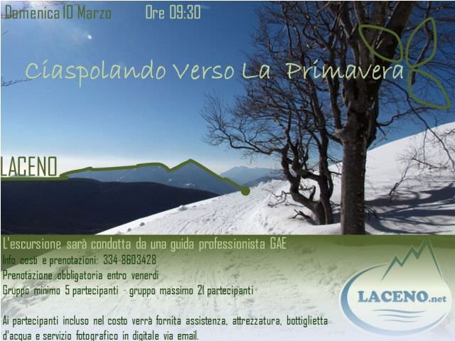 733994_10200682154119899_1876953255_n