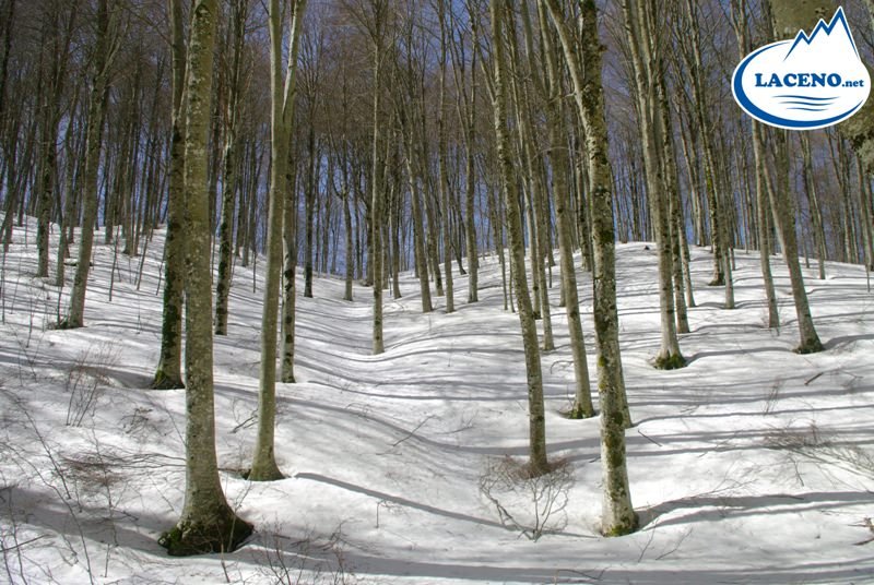 Previsione per il 25 Marzo 2013