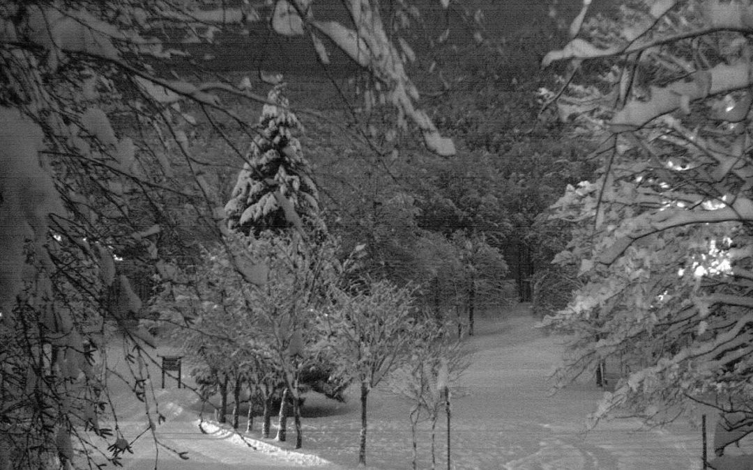 Bollettino neve: sciabilità dai 1700 ai 1100 m. Neve ottima