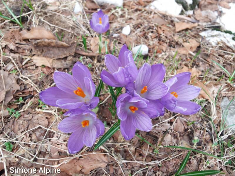 Previsione per il 23 Marzo 2013