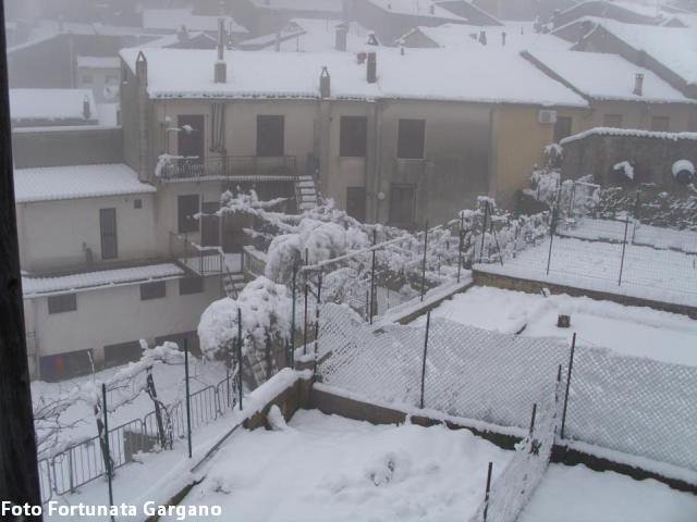 Servizio fotografico: la nevicata notturna e il risveglio di Bagnoli Irpino
