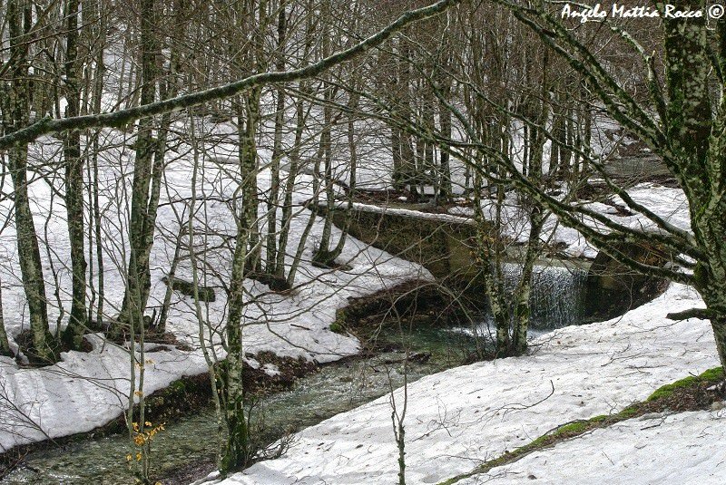 Previsione per il 10 Ottobre 2013