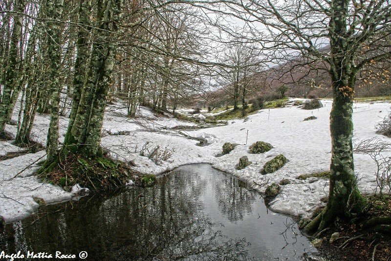 Previsione per il 20 Marzo 2013