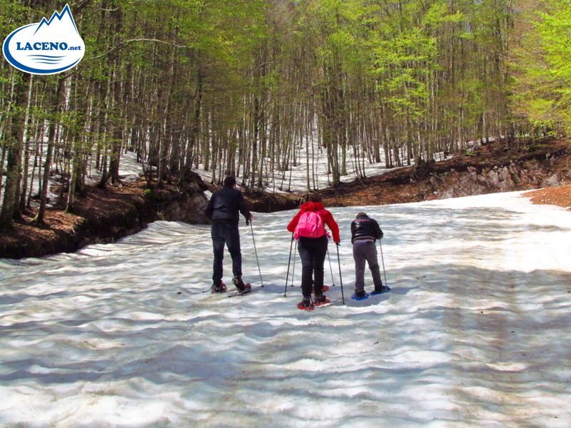 1° Maggio sulla neve del Laceno: ciaspolata dei record, insieme lungo i sentieri innevati e gli alberi verdi