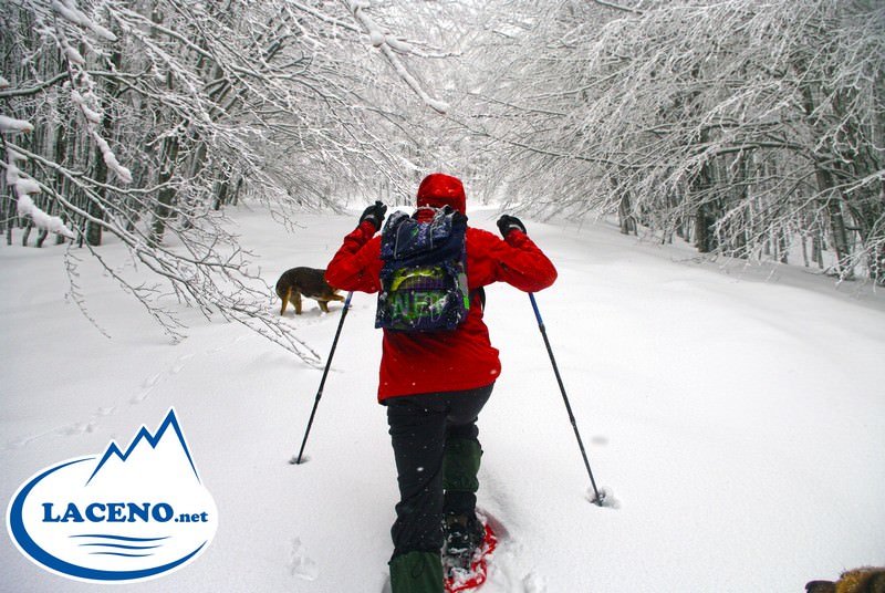 Domenica 7 Marzo 2013: Ciaspolata (escursione con racchette da neve) nell’inverno senza fine