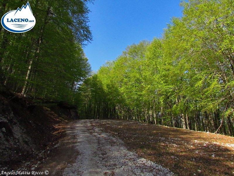 Servizio fotografico: Il Monte Raiamagra dalla primavera (1100) all’inverno (1667)