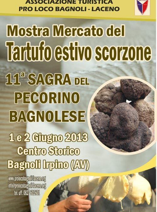 XI Sagra del pecorino bagnolese e mostra mercato del tartufo estivo (scorzone)