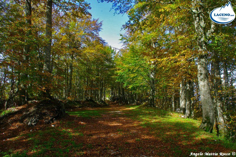 Previsione per il 25 Ottobre 2014