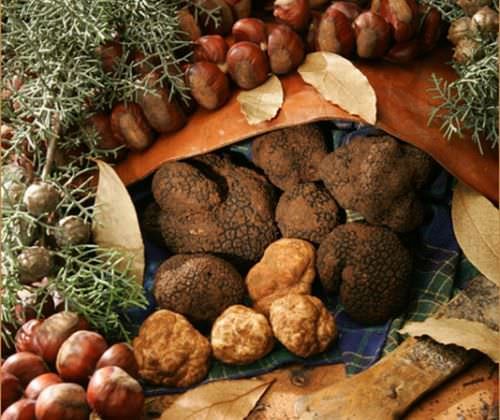 RTNEWS parla della sagra del tartufo nero di Bagnoli Irpino