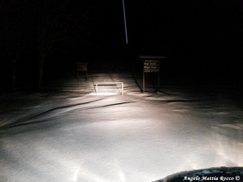 Previsione per il 24 Novembre 2013