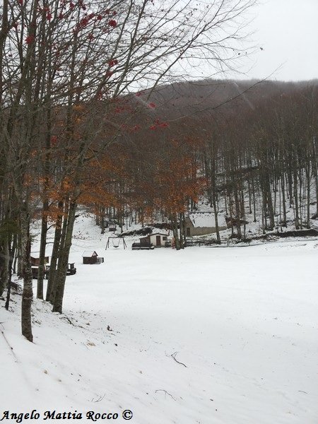 Servizio fotografico: 23 Novembre 2013 – prima neve della nuova stagione
