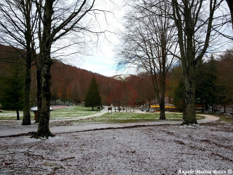 Previsione per il 22 Ottobre 2014
