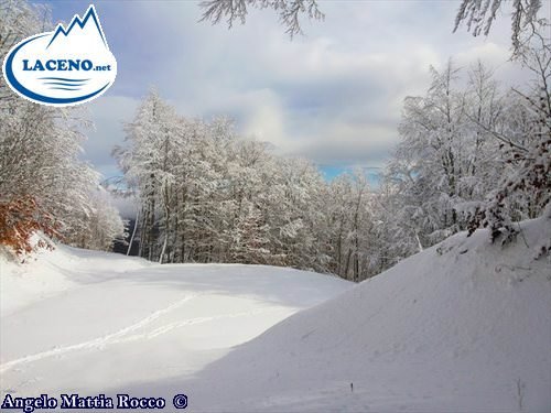 Previsione per il 29 Novembre 2013