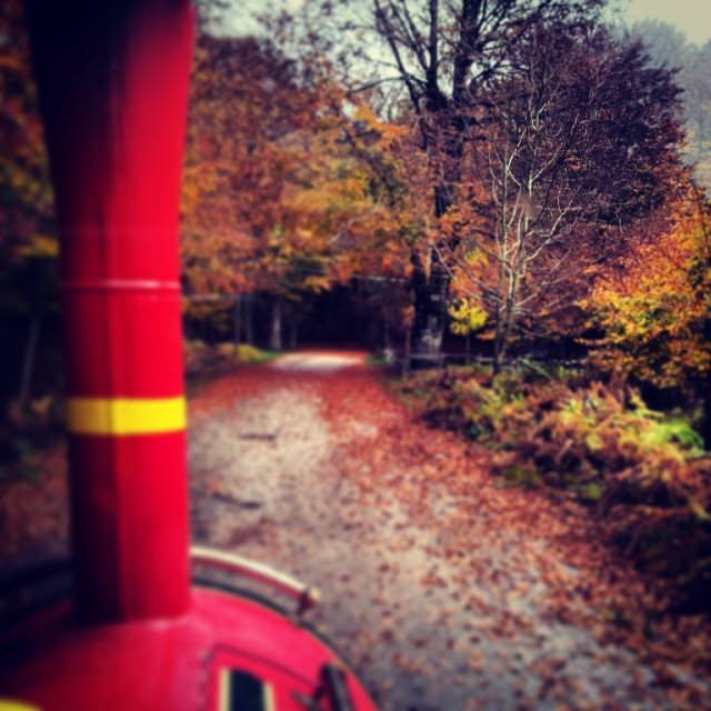 Previsione per l’8 Novembre 2013