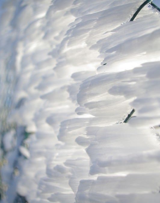 Previsione meteo per il 29 Dicembre 2014