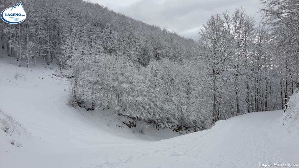 Bollettino neve: probabile parziale apertura per domani 31 Gennaio (da confermare)