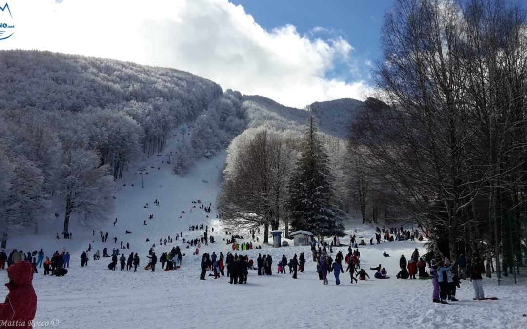 Servizio fotografico: qualche scatto dalle nevicate del 7 e 8 Febbraio
