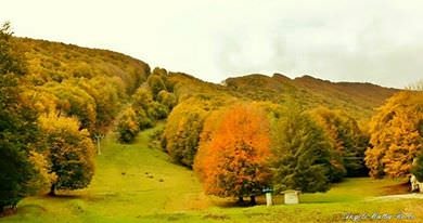 Previsione meteo Laceno per il 20 Novembre 2015