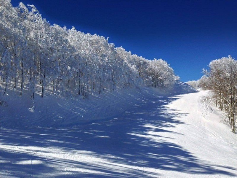 SERVIZIO FOTOGRAFICO: le piste del monte Raiamagra oggi 20-01-2016