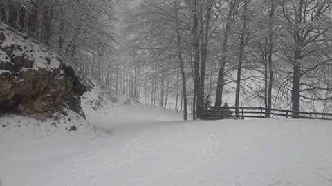 Avviso meteo: rapida incursione invernale per domani