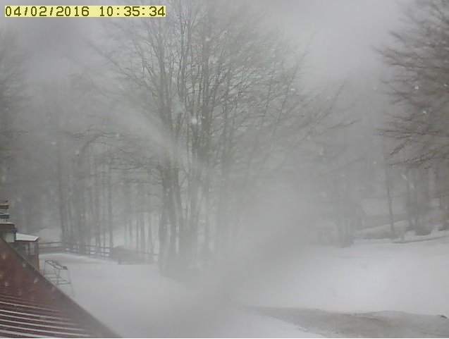 Nevica al Laceno: immagini dalle webcam
