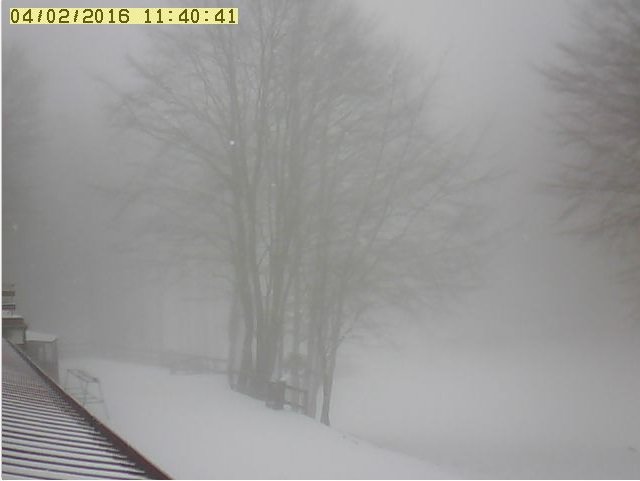 Continua a nevicare: le immagini delle webcam
