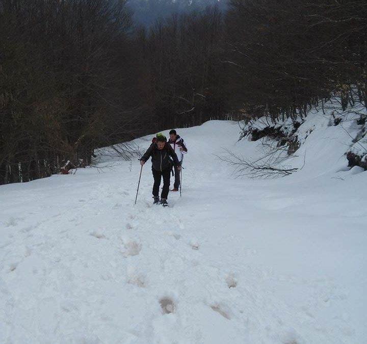 Previsione per il 5 Febbraio