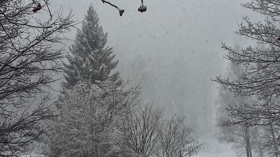 Avviso meteo: nevicate in intensificazione fino al piano Laceno