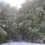 nevicata al laceno del 25 aprile 2016